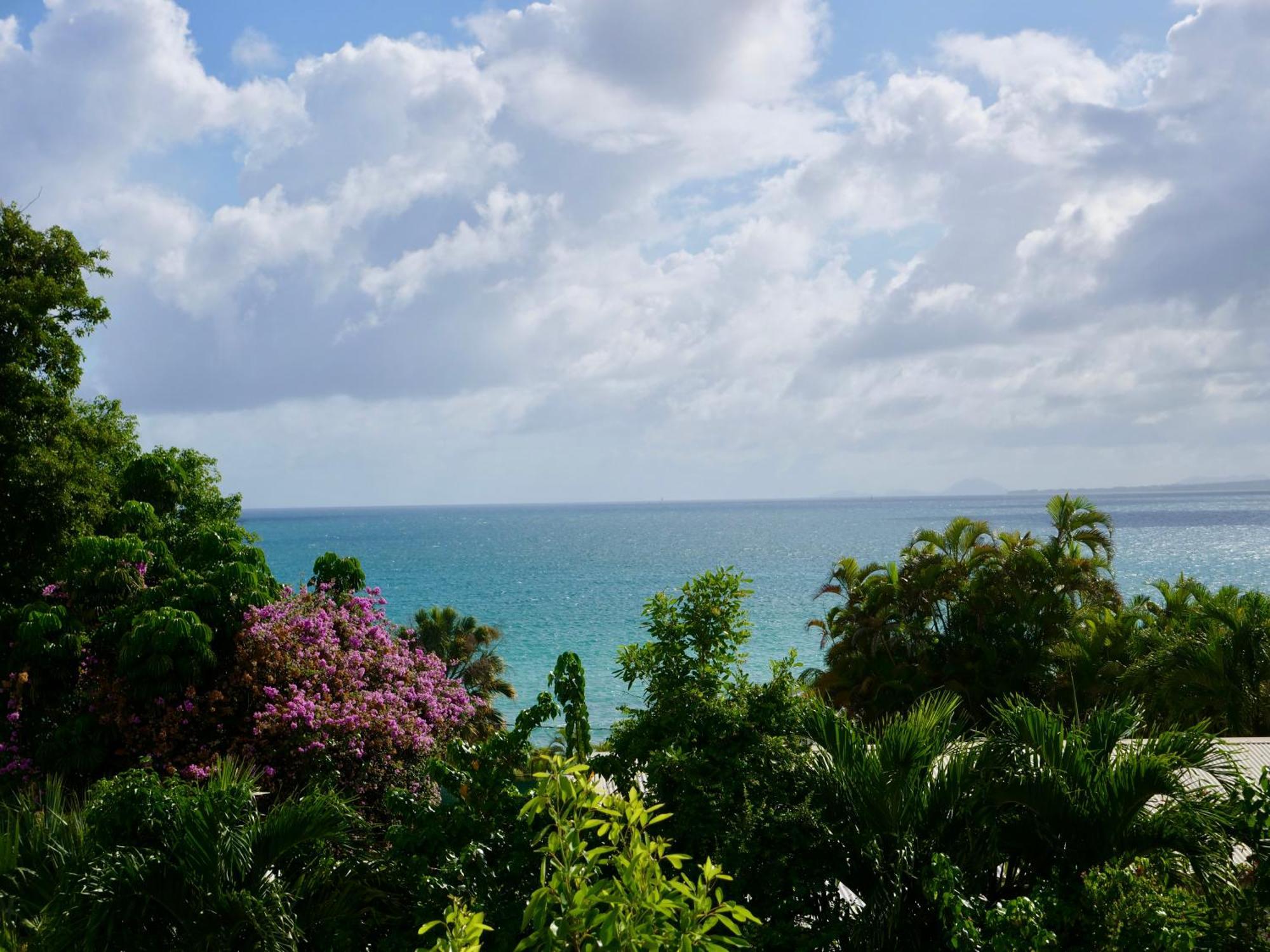 Charmant Studio Vue Mer Sans Coupure D'Eau Le Gosier  Extérieur photo